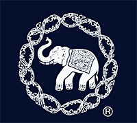 Blue Elephant