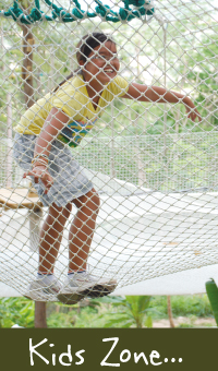 Xtrem Aventures Phuket