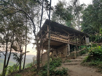 Thai Thai